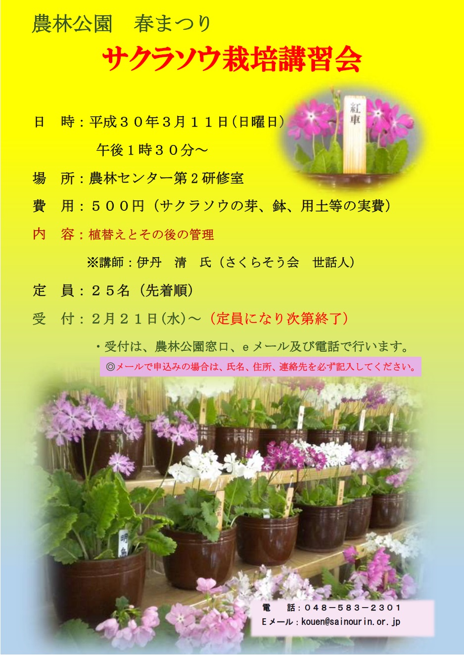 農林公園 サクラソウ栽培講習会 を開催します 埼玉県農林公園
