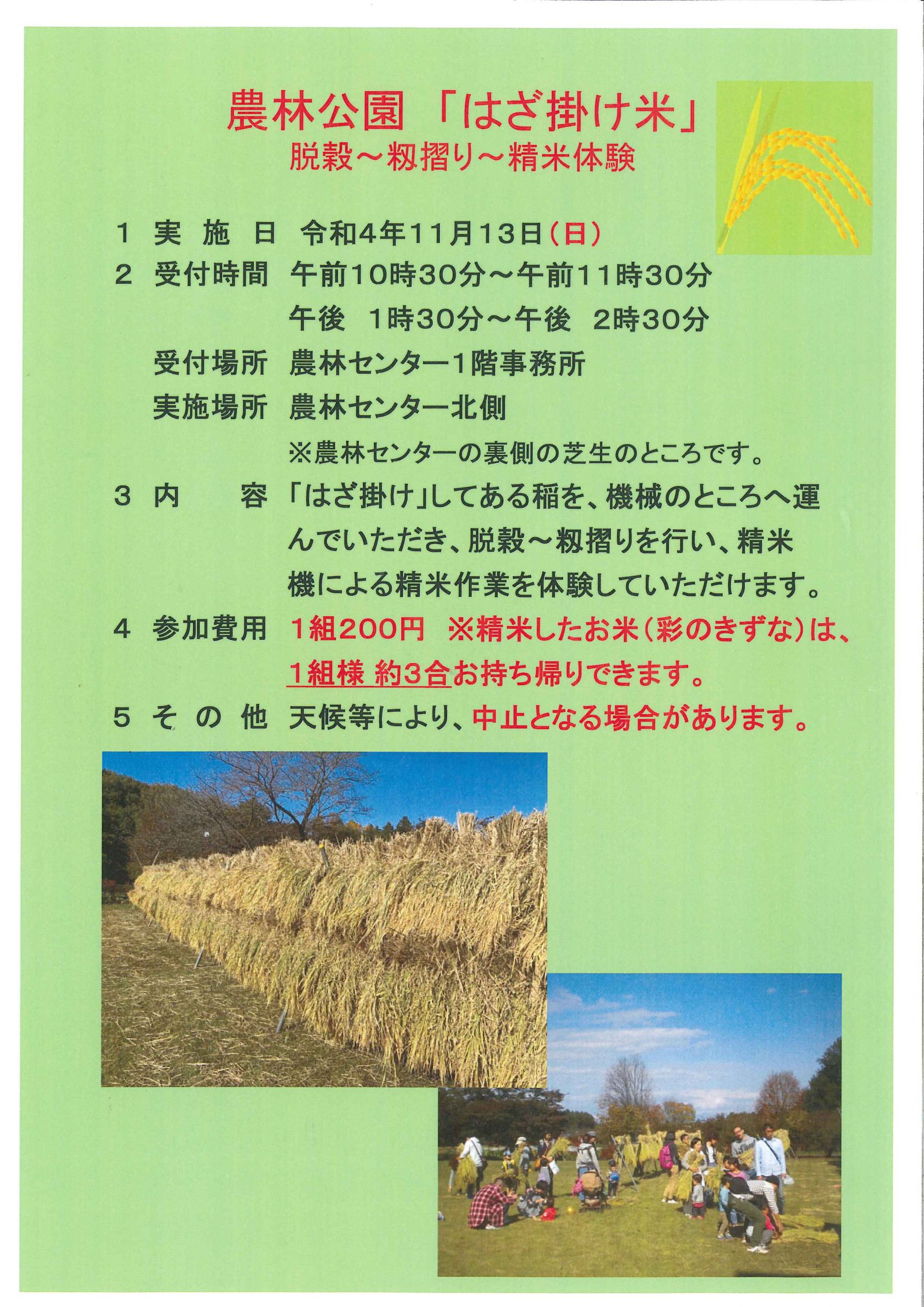 農林公園「はざ掛け米」脱穀～籾摺り～精米体験を実施します。